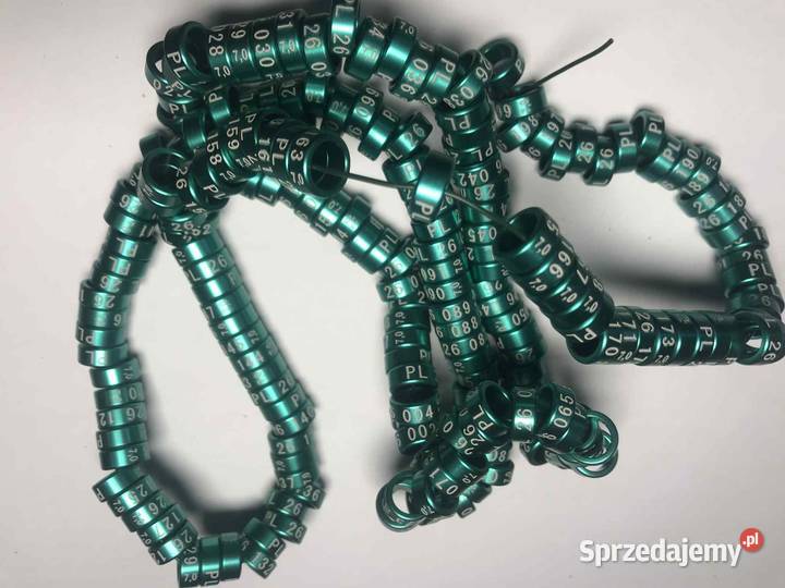 kanarek obrączki dla drob egz, papug 26 PL 26 rozmiar obr, kol numer 001...