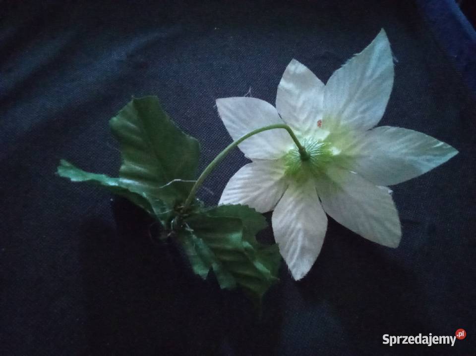 Sztuczna biała gwiazda betlejemska Warszawa