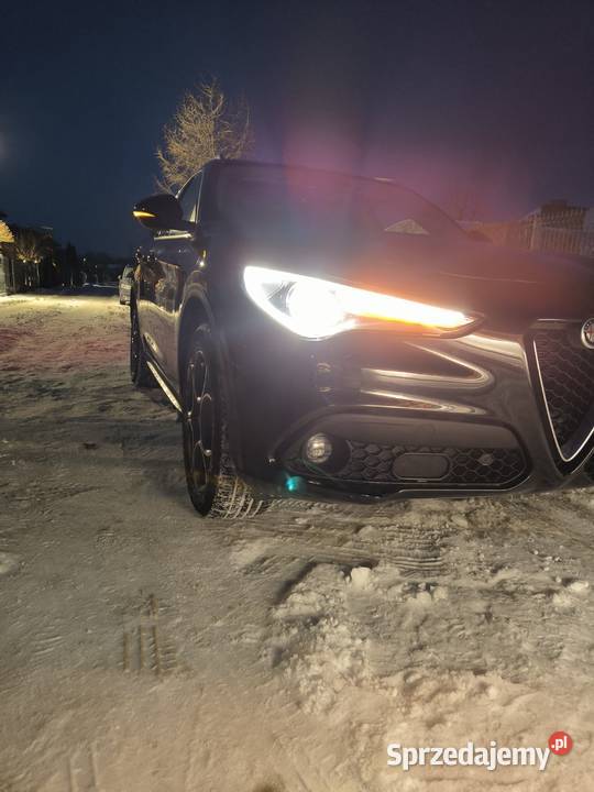 Stelvio 280 Q4 2019 Bogata stan