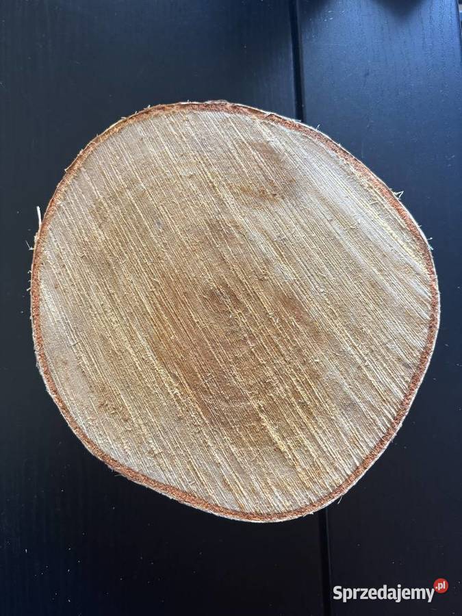 Plastry Krążki Brzozy Kroczyce