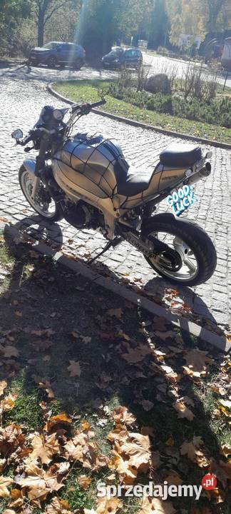 Triumph TT 600 Streetfighter nieuszkodzony Podgórzyn