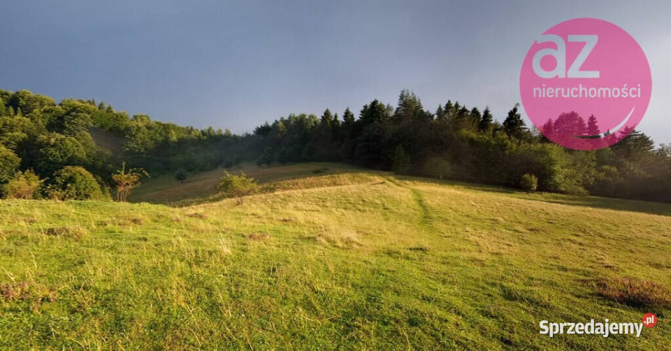 Malownicze 2 działki rolne w Szczawnicy rolna Szczawnica