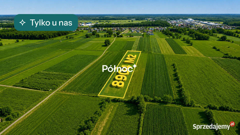 Łąka 8000m2 w Małaszewiczach Dużych 31m