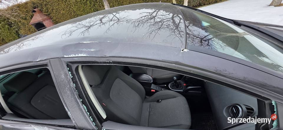 Seat altea 2005 19 tdi Altea Włoszczowa