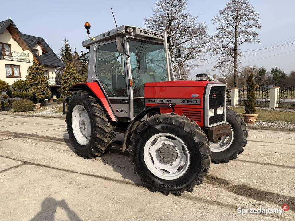 Massey Ferguson 3050 Massey Ferguson Łowicz