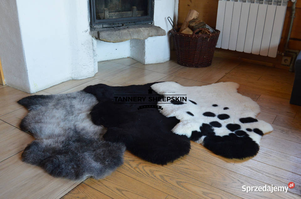Skóry Owcze Krótki Włos Różne Kolory Skóra Owcza Szaflary