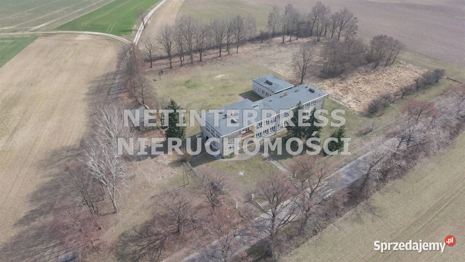 Lokal na sprzedaż 582 metry Domaszowice