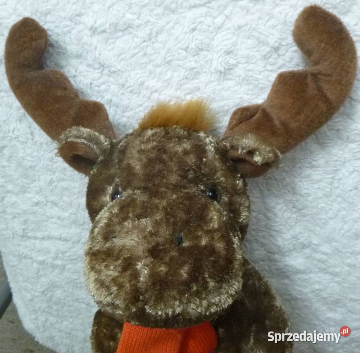 Pluszak łoś w szaliczku Warszawa