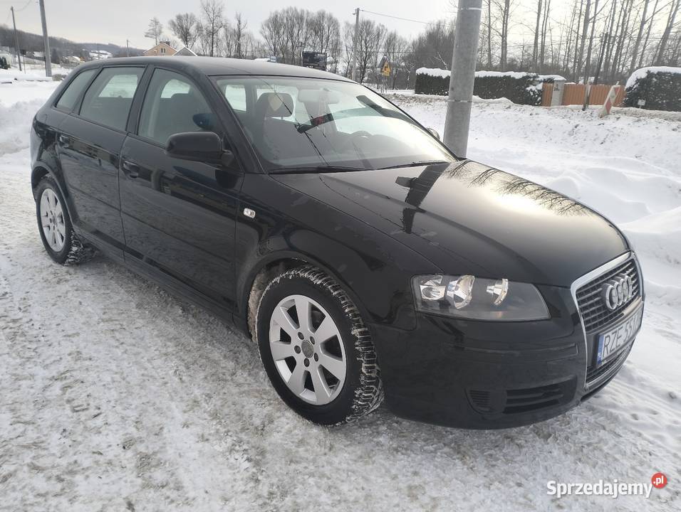 Audi A3 8P 16 B 115 Rzeszów