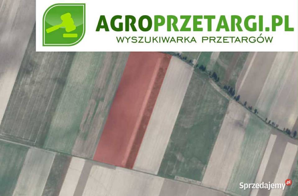 Dzierżawa 7000 ha gruntu rolnego Szamotuły