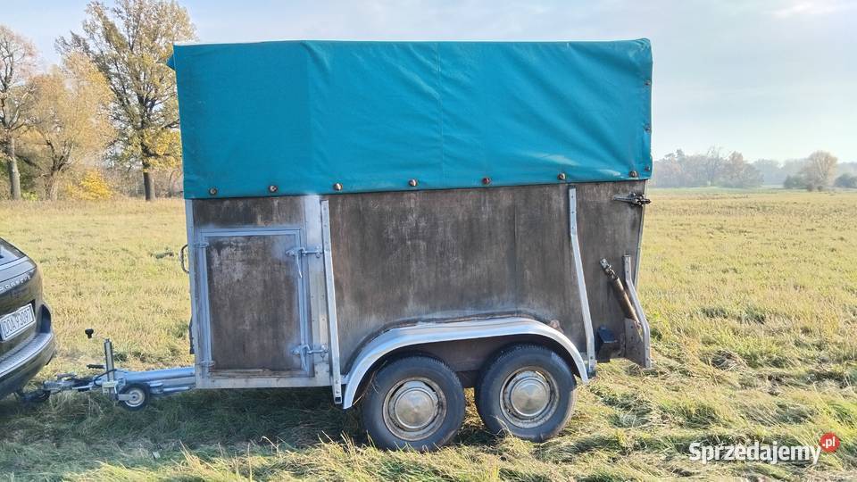 Przyczepa do przewozu koni niemiecka Oława