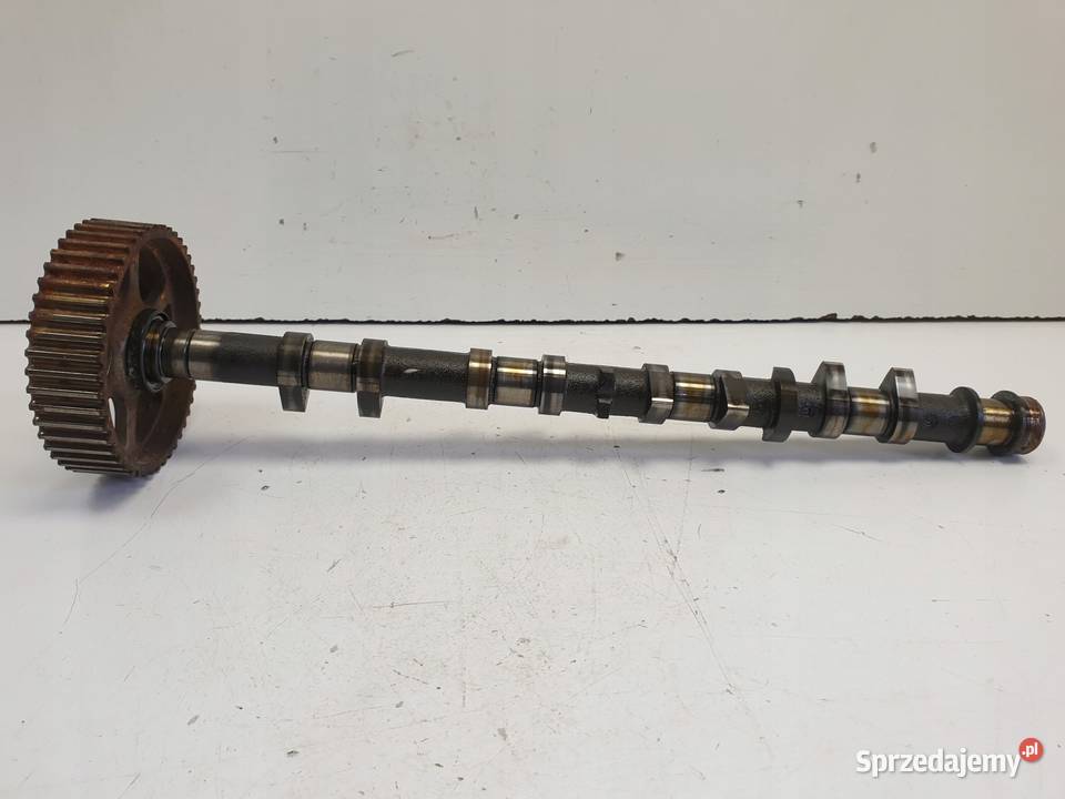 Rover 25 14 16V WAŁEK ROZRZĄDU LGC106970 osobowe Chełm