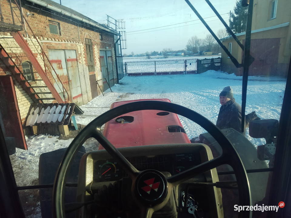 Massey Ferguson 3690 Grabów