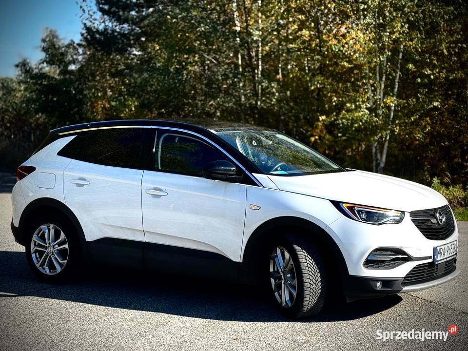Opel Grandland X ABS Grandland X mazowieckie Radom