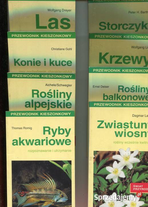 Przewodnik kieszonkowy 8 tytułów Storczyki miękka sprzedam