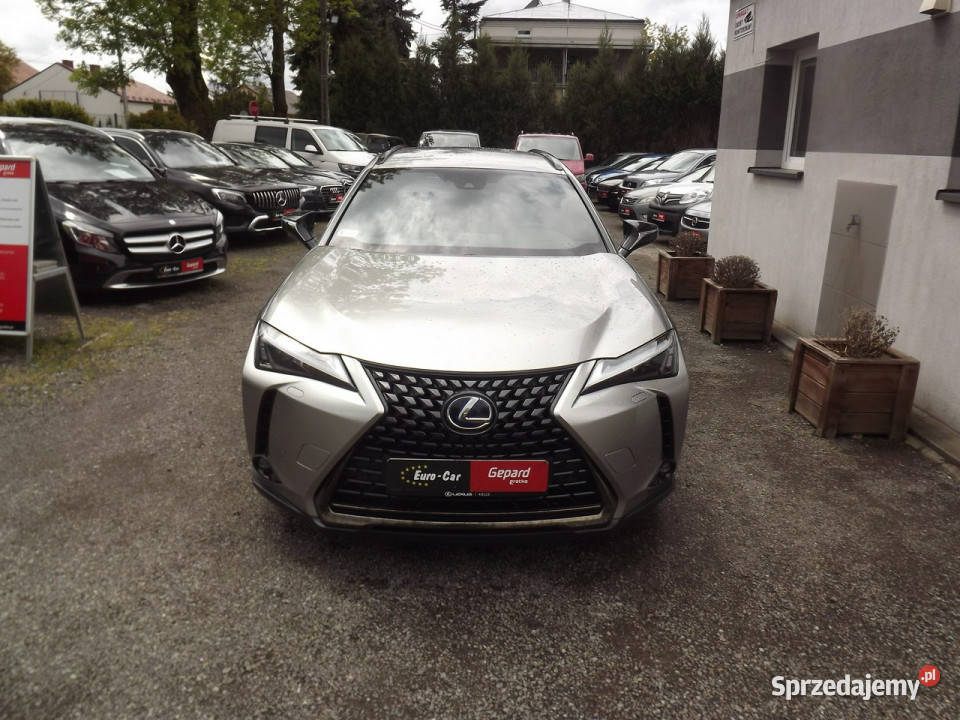 Lexus UX Janów Lubelski