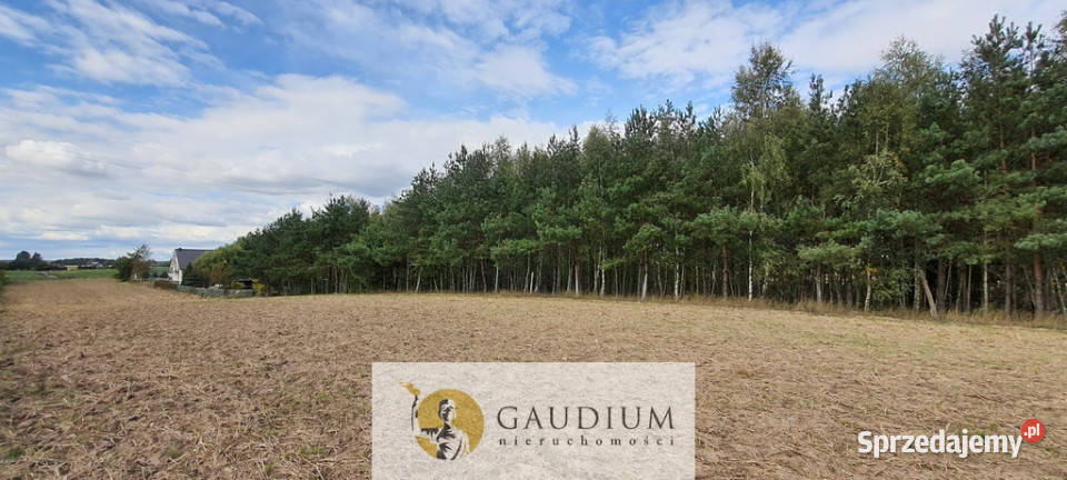 Koteże działka tuż lesie budowlana