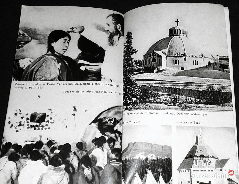 Inuk Roger Buliard lubelskie Chełm sprzedam