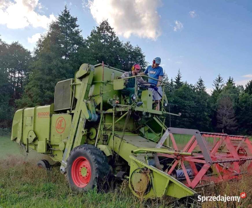 Len oleisty ekologiczny na siew