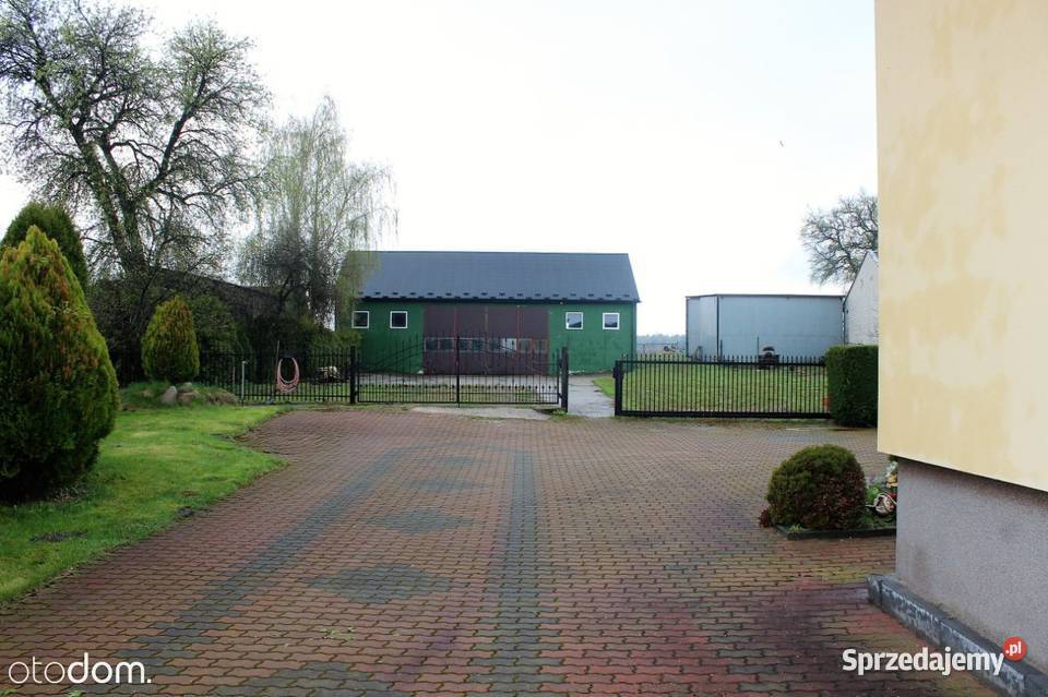 Dom z budynkami gospodarczymi 120m2 Sprzedaż Grabów Rycki