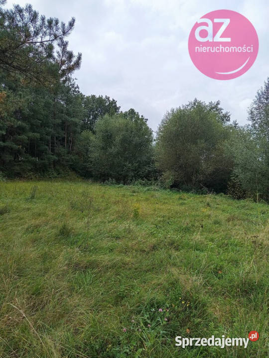 Działka inwestycyjna w miejscowości Łużna