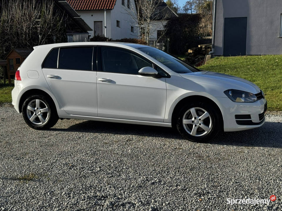 Volkswagen Golf VII 12 TSI 87 5drzwi Bały 2 kpl Strzegom