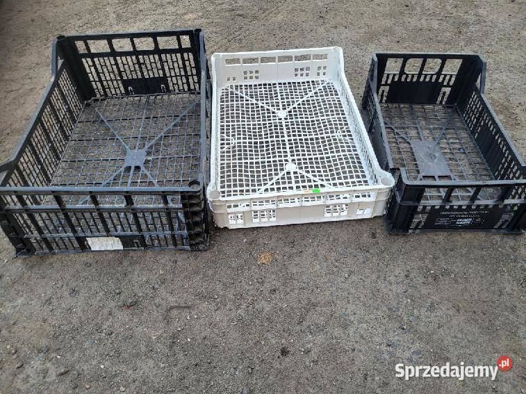 Skrzynki plastikowe pudelka Skrzynki i opakowania dolnośląskie Strzelin sprzedam