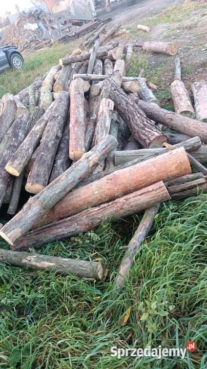 Drewno opałowe kominkowe