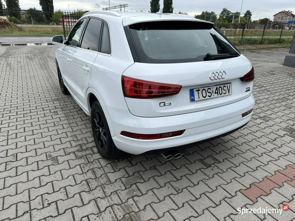 Audi Q3 Audi Q3 20 tdi Alu 17 Nawigacja światła przeciwmgielne Ostrowiec Świętokrzyski