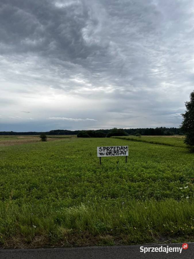 Działka rola Kotowa Wola Sprzedaż sprzedam