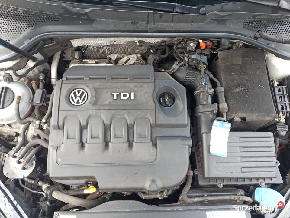 volkswagen golf 7 16 TDI Stegna