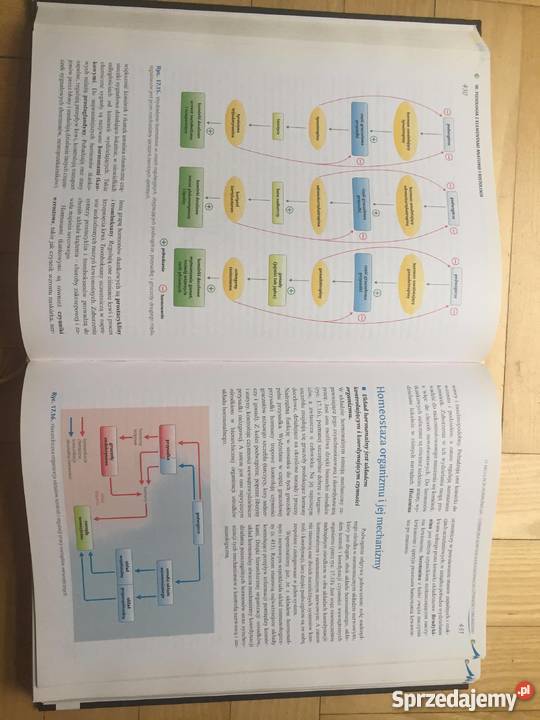 Biologia jedność i różnorodność Kraków