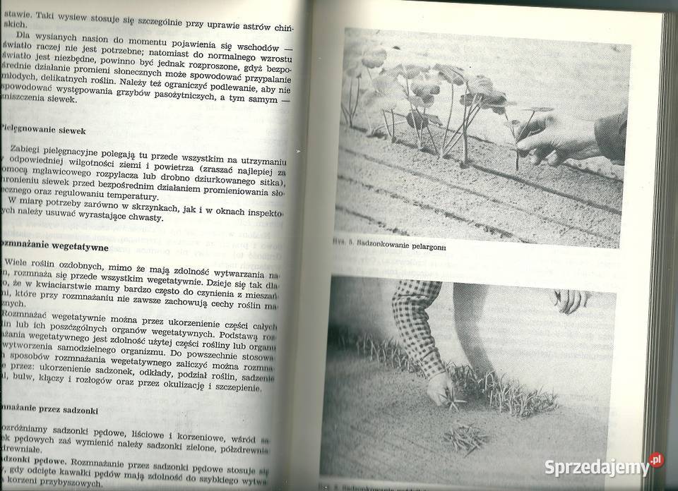 Kwiaciarstwo zasadniczych szkół ogrodniczych Podręczniki Łódź