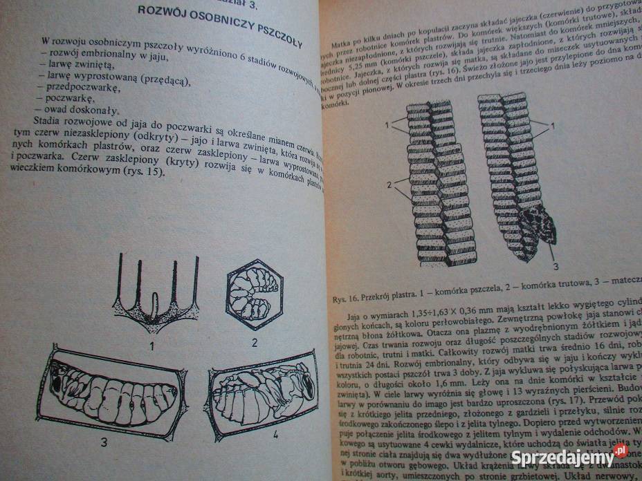Hodowla pszczół Encyklopedia pszczelarska Łódź