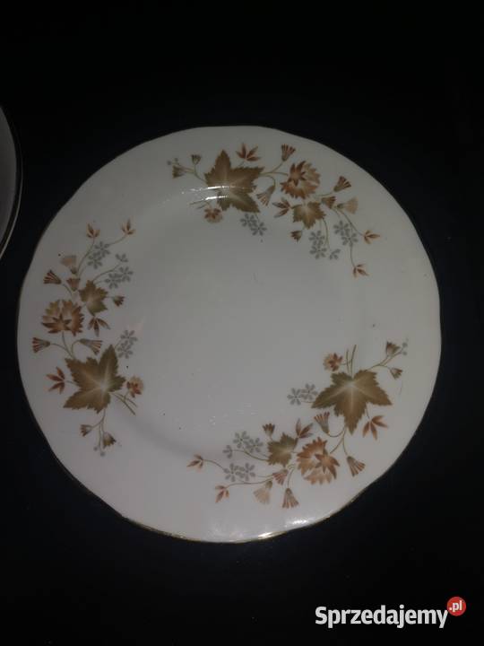Filiżanka z talerzykiem Cocclough Jesienne Gdańsk sprzedam