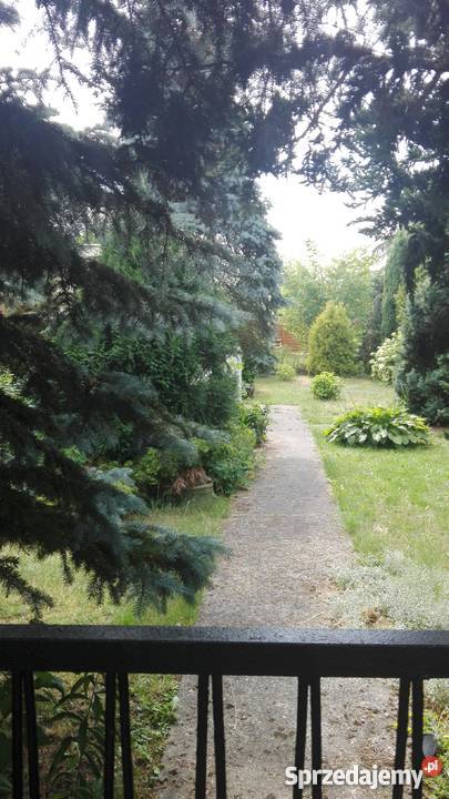 Działka ROD Poznań Złotowska 300m2