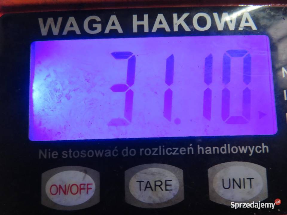 DYFER BMW 5 E39 520 256