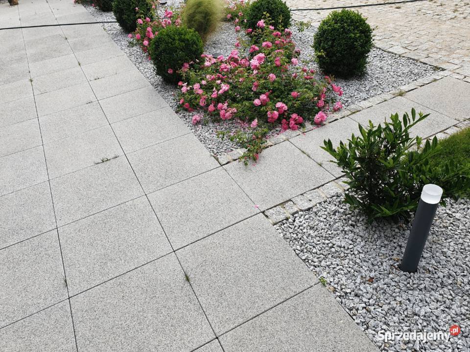 Betonowa płyta 50x50 gr 7 Świdnica