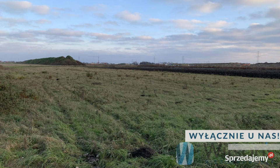 Działka 10021m2 Nowa Wola