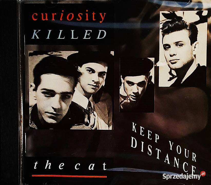 Album CD CURIOSITY KILLED THE CAT Album Keep CD Wrocław