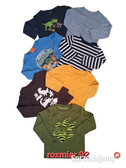 Tshirt z długim rękawem Kraków