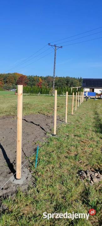 Słupek drewniany ogrodzenie palisada 25m z