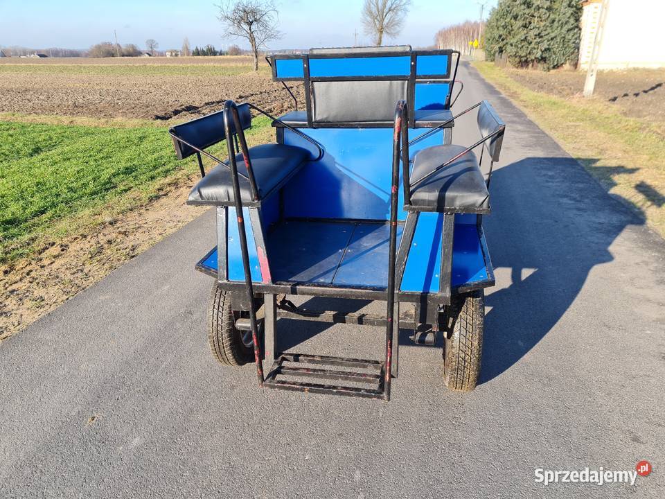 Bryczka do konia Turek