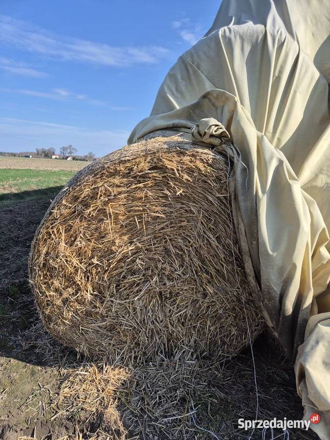 Sprzedam słomę sprzedam