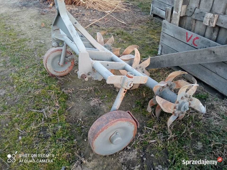 Glebogryzarka do truskawekwarzyw mazowieckie Iłów