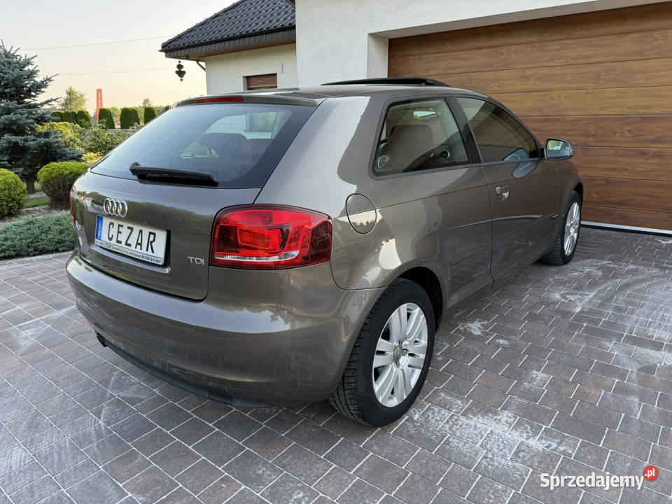 Audi A3 3drzwiowe 20 tdi 140 super stan śląskie Konradów