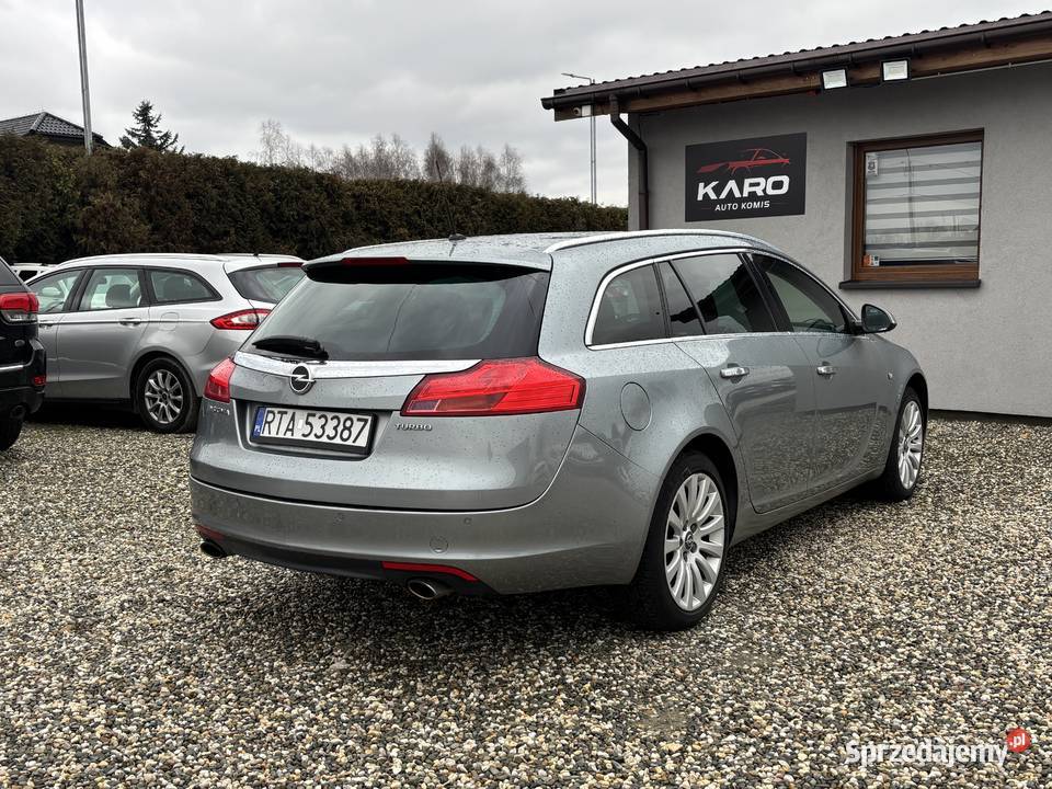 Opel Insignia 2009r śląskie Paniówki