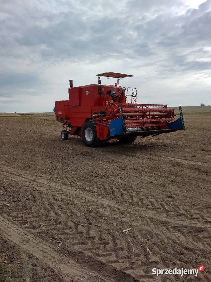 Bizon Z056 Stryjewo Wielkie sprzedam