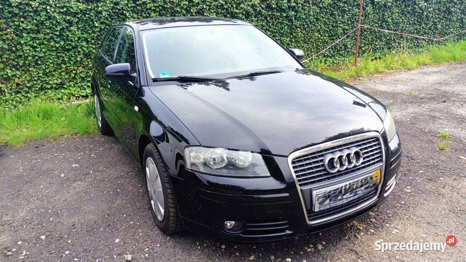 Audi A3 8P 20 140 BMM Śląsk prywatnie Zabrze