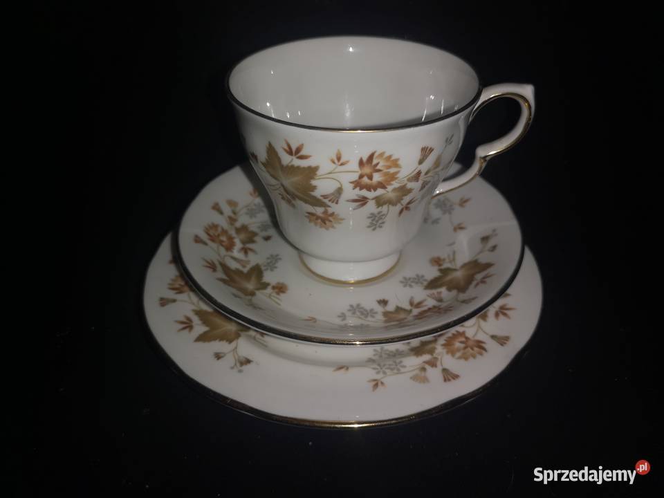 Filiżanka z talerzykiem Cocclough Jesienne Antyki, Sztuka, Kolekcje Gdańsk